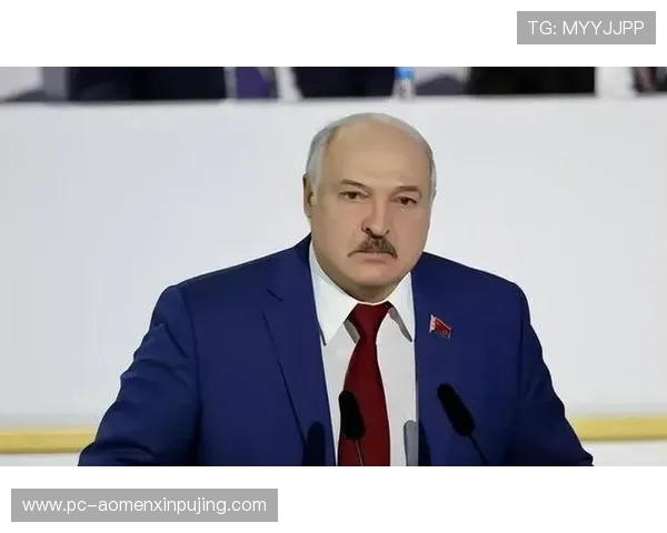 新普京游戏网址官方入口全面解析，帮助玩家轻松找到最稳定的登录渠道