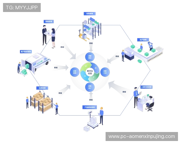 新葡京集团未来发展方向：数字化转型与全球化战略布局